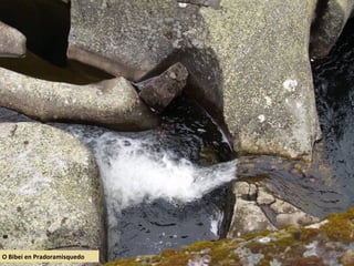 O Bibei en Pradoramisquedo
 