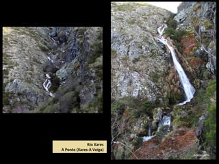 Río Xares
A Ponte (Xares-A Veiga)
 