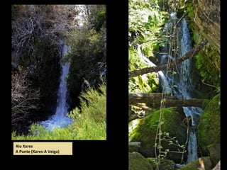 Río Xares
A Ponte (Xares-A Veiga)
 