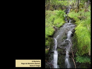 A Morteira
Rego da Morteira (Xares)
Xares-A Veiga
 