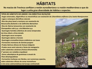 TIPOS DE HÁBITATS DO ANEXO I DA DIRECTIVA 92/43/CEE
-Augas estancadas, oligotróficas ou mesotróficas con vexetación de Littorelletea uniflorae e/ou Isoeto-Nanojuncetea
-Lagos e estanques distróficos naturais
-Ríos dos pisos basal a montano con vexetación de
Ranunculion fluitantis e de Callitricho-Batrachion
-Ríos de ribeiras lamacentas con vexetación de
Chenopodion rubri p.p. e de Bidention p.p.
-Queirogais húmidos atlánticos de zonas temperadas
de Erica ciliaris e Erica tetralix
-Queirogais secos europeos
-Queirogais alpinos e boreais
-Queirogais oromediterráneos endémicos con toxos
-Formacións montanas de Genista purgans
-Prados ibéricos silíceos de Festuca indigesta
-Prados secos semi naturais e facies de matogueira
sobre substratos calcáreos (Festuco-Brometalia)
(* paraxes con notables orquídeas)
-Zonas subestépicas de gramíneas e anuais do
Thero-Brachypodietea
-Formacións herbosas con Nardus, con numerosas especies,
sobre substratos silíceos de zonas montañosas
(e de zonas submontañosas da Europa continental)
HÁBITATS
No macizo de Trevinca conflúen a rexión eurosiberiana e a rexión mediterránea o que da
lugar a unha gran diversidade de hábitas e especies.
 