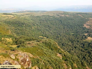 Fraga da Morteira
 