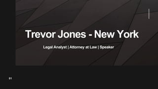 Trevor Jones - New York
01
Legal Analyst | Attorney at Law | Speaker
 