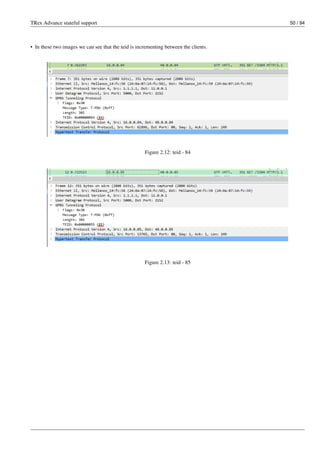 TRex Advance stateful support 50 / 94
• In these two images we can see that the teid is incrementing between the clients.
Figure 2.12: teid - 84
Figure 2.13: teid - 85
 