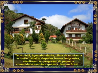 Terra fértil, água abundante, clima de montanha e muito trabalho daqueles bravos imigrantes, resultaram no progresso da pequena comunidade austríaca que se criava no Brasil... 