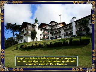 Amplos e belos hotéis atendem os hóspedes com um serviço de primeiríssima qualidade, como é o caso do Park Hotel... 