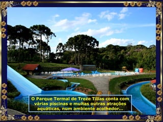 O Parque Termal de Treze Tílias conta com várias piscinas e muitas outras atrações aquáticas, num ambiente acolhedor... 
