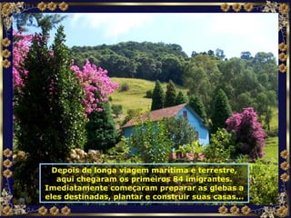 Depois de longa viagem marítima e terrestre, aqui chegaram os primeiros 84 imigrantes. Imediatamente começaram preparar as glebas a eles destinadas, plantar e construir suas casas... 