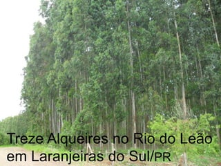 Treze Alqueires no Rio do Leão
01 Casa no terreno
em Laranjeiras do Sul/PR

 