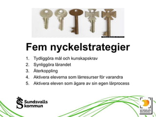 Fem nyckelstrategier
1. Tydliggöra mål och kunskapskrav
2. Synliggöra lärandet
3. Återkoppling
4. Aktivera eleverna som lärresurser för varandra
5. Aktivera eleven som ägare av sin egen lärprocess
 
