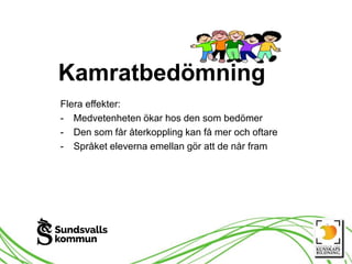 Kamratbedömning
Flera effekter:
- Medvetenheten ökar hos den som bedömer
- Den som får återkoppling kan få mer och oftare
- Språket eleverna emellan gör att de når fram
 