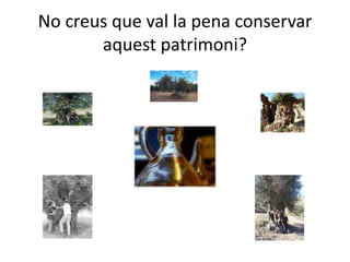 No creus que val la pena conservar aquestpatrimoni?
