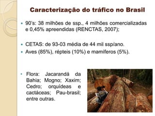 Caracterização do tráfico no Brasil


90’s: 38 milhões de ssp., 4 milhões comercializadas
e 0,45% apreendidas (RENCTAS, 2007);



CETAS: de 93-03 média de 44 mil ssp/ano.
Aves (85%), répteis (10%) e mamíferos (5%).



• Flora: Jacarandá da
Bahia; Mogno; Xaxim;
Cedro; orquídeas e
cactáceas; Pau-brasil;
entre outras.

 