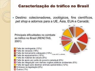 Caracterização do tráfico no Brasil


Destino: colecionadores, zoológicos, fins científicos,
pet shop e adornos para a UE, Ásia, EUA e Canadá;

Principais dificuldades no combate
ao tráfico no Brasil (RENCTAS,
2001)

 