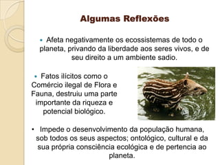 Algumas Reflexões
Afeta negativamente os ecossistemas de todo o
planeta, privando da liberdade aos seres vivos, e de
seu direito a um ambiente sadio.



Fatos ilícitos como o
Comércio ilegal de Flora e
Fauna, destruiu uma parte
importante da riqueza e
potencial biológico.


• Impede o desenvolvimento da população humana,
sob todos os seus aspectos; ontológico, cultural e da
sua própria consciência ecológica e de pertencia ao
planeta.

 