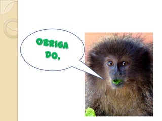 Tráfico da biodiversidade