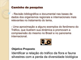 Caminho de pesquisa
- Revisão bibliográfica e documental nas bases de
dados dos organismos regionais e internacionais mais
relevantes no tratamento do tema,
- Uma aproximação a alguns exemplos do fenômeno do
Tráfico, que ilustrem sua dinâmica e promovam a
compreensão do mesmo no Brasil e no panorama
internacional.

Objetivo Proposto

Identificar a relação do tráfico da flora e fauna
silvestres com a perda da diversidade biológica

 