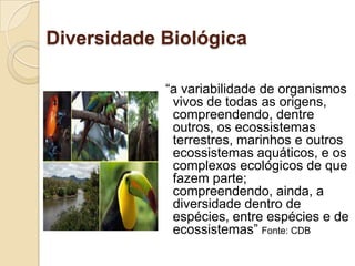 Diversidade Biológica
“a variabilidade de organismos
vivos de todas as origens,
compreendendo, dentre
outros, os ecossistemas
terrestres, marinhos e outros
ecossistemas aquáticos, e os
complexos ecológicos de que
fazem parte;
compreendendo, ainda, a
diversidade dentro de
espécies, entre espécies e de
ecossistemas” Fonte: CDB

 