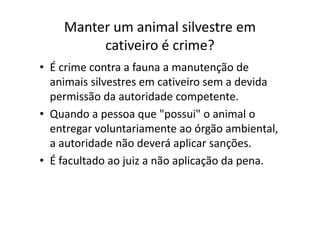 Manter um animal silvestre em
         cativeiro é crime?
• É crime contra a fauna a manutenção de
  animais silvestres em cativeiro sem a devida
  permissão da autoridade competente.
• Quando a pessoa que "possui" o animal o
  entregar voluntariamente ao órgão ambiental,
  a autoridade não deverá aplicar sanções.
• É facultado ao juiz a não aplicação da pena.
 