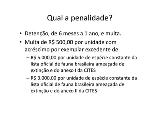 Qual a penalidade?
• Detenção, de 6 meses a 1 ano, e multa.
• Multa de R$ 500,00 por unidade com
  acréscimo por exemplar excedente de:
  – R$ 5.000,00 por unidade de espécie constante da
    lista oficial de fauna brasileira ameaçada de
    extinção e do anexo I da CITES
  – R$ 3.000,00 por unidade de espécie constante da
    lista oficial de fauna brasileira ameaçada de
    extinção e do anexo II da CITES
 