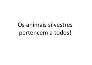 Os animais silvestres
pertencem a todos!
 