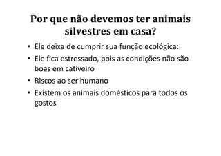 Por que não devemos ter animais
      silvestres em casa?
• Ele deixa de cumprir sua função ecológica:
• Ele fica estressado, pois as condições não são
  boas em cativeiro
• Riscos ao ser humano
• Existem os animais domésticos para todos os
  gostos
 