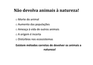 Não devolva animais à natureza!
o Morte do animal
o Aumento das populações
o Ameaça à vida de outros animais
o A origem é incerta
o Distúrbios nos ecossistemas
Existem métodos corretos de devolver os animais a
                    natureza!
 