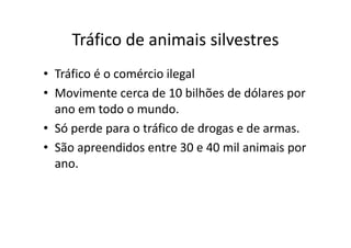 Tráfico de animais silvestres
• Tráfico é o comércio ilegal
• Movimente cerca de 10 bilhões de dólares por
  ano em todo o mundo.
• Só perde para o tráfico de drogas e de armas.
• São apreendidos entre 30 e 40 mil animais por
  ano.
 