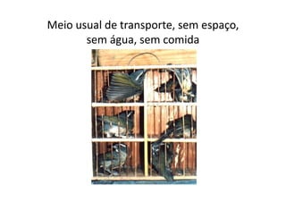 Meio usual de transporte, sem espaço,
       sem água, sem comida
 