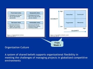 Project management week 11