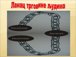 Ф а з а р е г р у т а ц и ј е 
Ф а з а т р а н з и т а 
Ф а з а д е с т и н а ц и ј е 
 