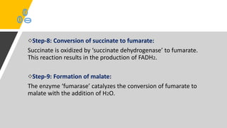 Step-8: Conversion of succinate to fumarate:
Succinate is oxidized by ‘succinate dehydrogenase’ to fumarate.
This reaction results in the production of FADH2.
Step-9: Formation of malate:
The enzyme ‘fumarase’ catalyzes the conversion of fumarate to
malate with the addition of H2O.
 