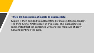 Step-10: Conversion of malate to oxaloacetate:
Malate is then oxidized to oxaloacetate by ‘malate dehydrogenase’.
The third & final NADH occurs at this stage. The oxaloacetate is
regenerated that can combined with another molecule of acetyl
CoA and continue the cycle.
 