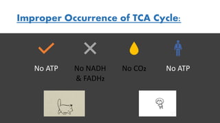 Improper Occurrence of TCA Cycle:
No ATP No NADH
& FADH2
No CO2 No ATP
 
