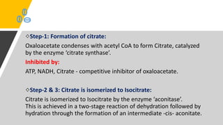 Step-1: Formation of citrate:
Oxaloacetate condenses with acetyl CoA to form Citrate, catalyzed
by the enzyme ‘citrate synthase’.
Inhibited by:
ATP, NADH, Citrate - competitive inhibitor of oxaloacetate.
Step-2 & 3: Citrate is isomerized to Isocitrate:
Citrate is isomerized to Isocitrate by the enzyme ‘aconitase’.
This is achieved in a two-stage reaction of dehydration followed by
hydration through the formation of an intermediate -cis- aconitate.
 