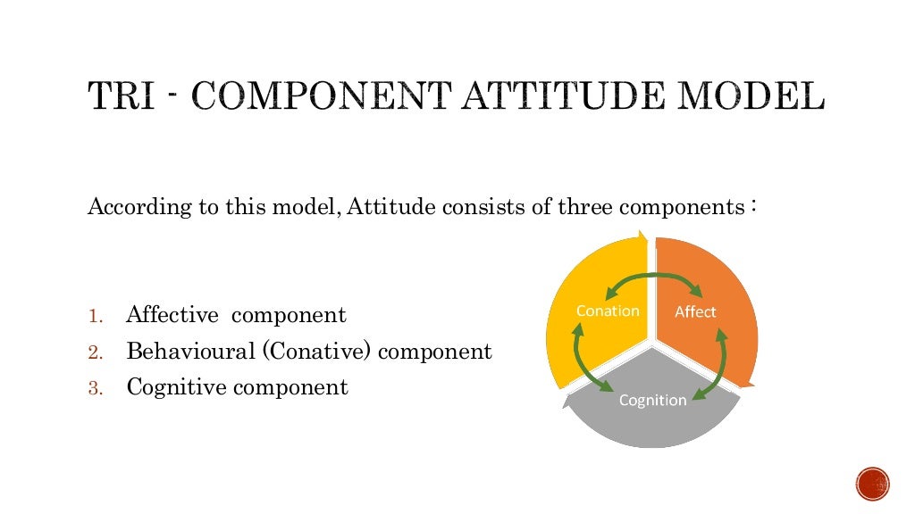 Tri component attitude model