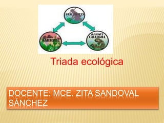 DOCENTE: MCE. ZITA SANDOVAL
SÁNCHEZ
Triada ecológica
 