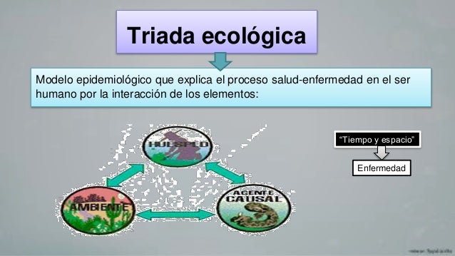 cadena epidemiologica triada ecologica triada ecol 243 gica cadena epidemiologica triada ecologica triada ecol 243 gica
