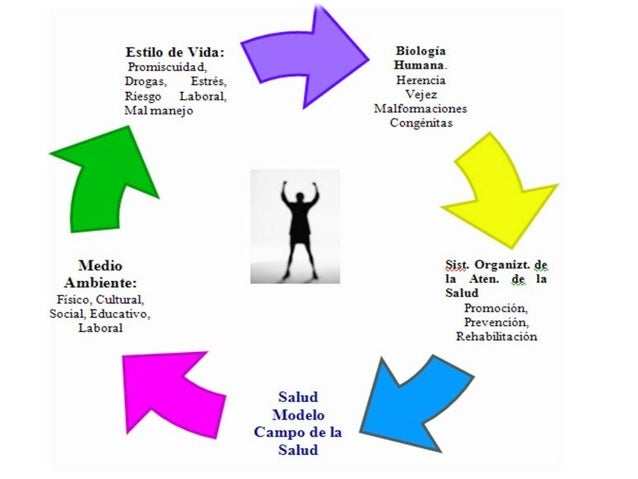 cadena epidemiologica triada ecologica triada ecologica cadena epidemiologica triada ecologica triada ecologica