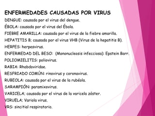 ENFERMEDADES CAUSADAS POR VIRUS
DENGUE: causada por el virus del dengue.
ÉBOLA: causada por el virus del Ébola.
FIEBRE AMARILLA: causada por el virus de la fiebre amarilla.
HEPATITIS B; causada por el virus VHB (Virus de la hepatitis B).
HERPES: herpesvirus.
ENFERMEDAD DEL BESO: (Mononucleosis infecciosa): Epstein Barr.
POLIOMIELITIS: poliovirus.
RABIA: Rhabdoviridae.
RESFRIADO COMÚN: rinovirus y coronavirus.
RUBEOLA: causada por el virus de la rubéola.
SARAMPIÓN: paramixovirus.
VARICELA; causada por el virus de la varicela zóster.
VIRUELA; Variola virus.
VRS: sincitial respiratorio.
 