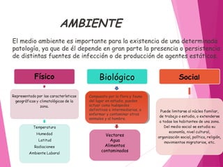 AMBIENTE
El medio ambiente es importante para la existencia de una determinada
patología, ya que de él depende en gran parte la presencia o persistencia
de distintas fuentes de infección o de producción de agentes estáticos.
Compuesto por la flora y fauna
del lugar en estudio, pueden
actuar como huéspedes
definitivos o intermediarios, o
enfermar y contaminar otros
animales y al hombre.
Compuesto por la flora y fauna
del lugar en estudio, pueden
actuar como huéspedes
definitivos o intermediarios, o
enfermar y contaminar otros
animales y al hombre.
Vectores
Agua
Alimentos
contaminados
 