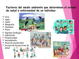 Factores del medio ambiente que determinan el estado
de salud o enfermedad de un individuo:
 Aire
 Agua
 Suelo
 Geografía
 Animales
 Flora
 Ingreso (trabajo)
 Habitación
 Promiscuidad
 hacinamiento
 Nivel de escolaridad
 Acceso de los servicios de
salud
 