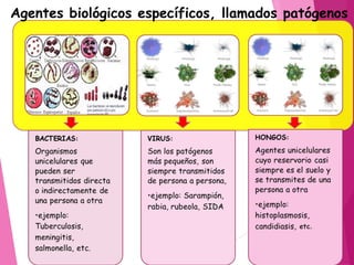 Agentes biológicos específicos, llamados patógenos
 
