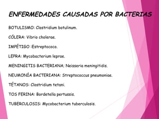 ENFERMEDADES CAUSADAS POR BACTERIAS
BOTULISMO: Clostridium botulinum.
CÓLERA: Vibrio cholerae.
IMPÉTIGO :Estreptococo.
LEPRA: Mycobacterium leprae.
MENINGITIS BACTERIANA; Neisseria meningitidis.
NEUMONÍA BACTERIANA: Streptococcus pneumoniae.
TÉTANOS: Clostridium tetani.
TOS FERINA: Bordetella pertussis.
TUBERCULOSIS: Mycobacterium tuberculosis.
 