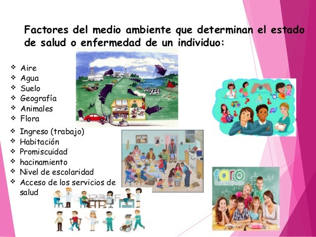 Triada ecologica ejemplo