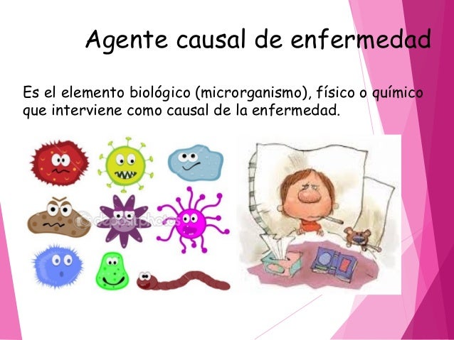 Triada ecologica Triada ecologica