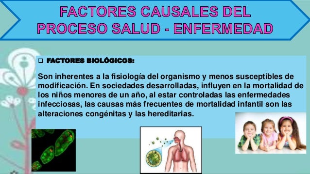Triada ecologica proceso salud enfermedad Triada ecologica proceso salud enfermedad