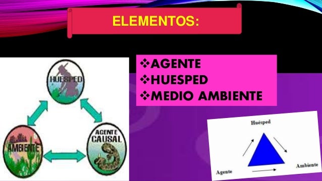 Triada ecologica proceso salud enfermedad