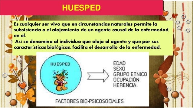Triada ecologica proceso salud enfermedad