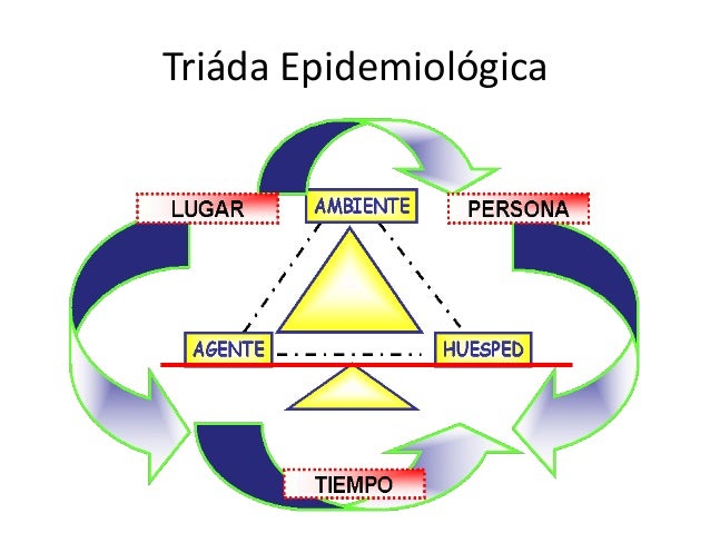 cadena epidemiologica triada ecologica triada epidemiologica y conceptos cadena epidemiologica triada ecologica triada epidemiologica y conceptos